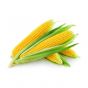 Yellow Corn - 5