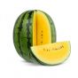 Yellow Water Melon - 5
