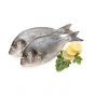 Frozen Sea Bream Fish - 5