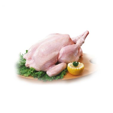 دجاج طازج - 5