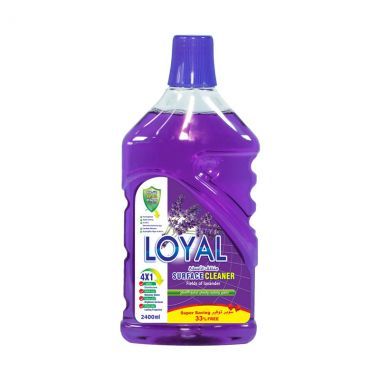 Loyal M Purpose Dsi Purple