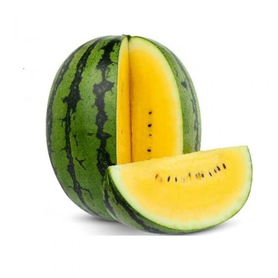 Yellow Water Melon - 5