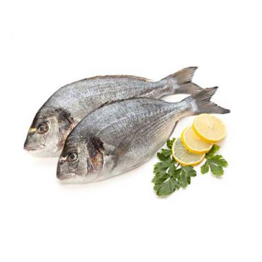 Frozen Sea Bream Fish - 5
